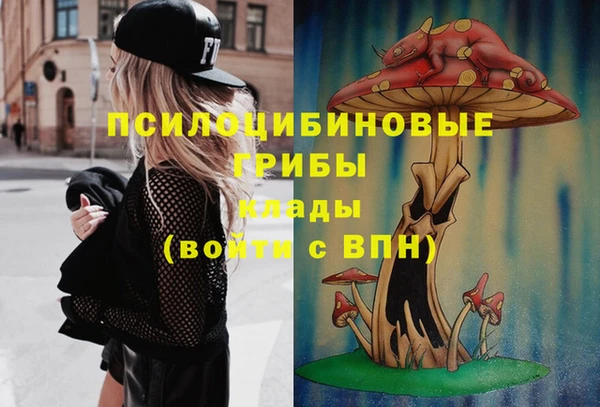 мяу мяу мука Белокуриха