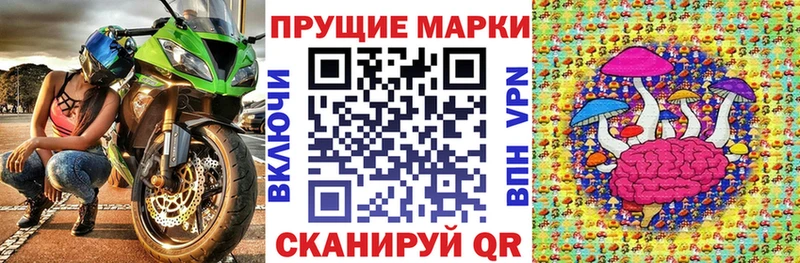 omg маркетплейс Светлый Наркотические марки 1,5мг где купить наркоту