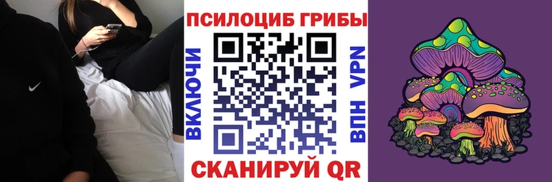 Псилоцибиновые грибы мухоморы  хочу   Светлый 